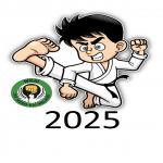 Irish Wado Karate Championship 2025